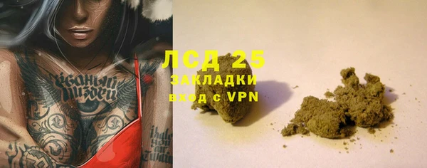 эйфоретик Баксан